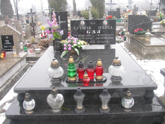 Grób Ludwik Gaj