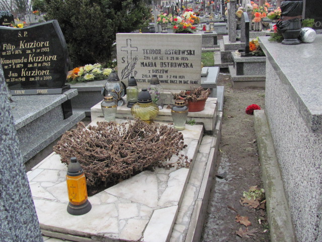 Grób Teodor Ostrowski