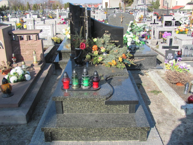 Grób Władysław Gaj